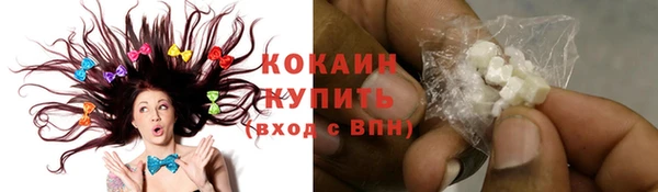 спиды Лагань