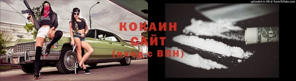 ECSTASY Ладушкин
