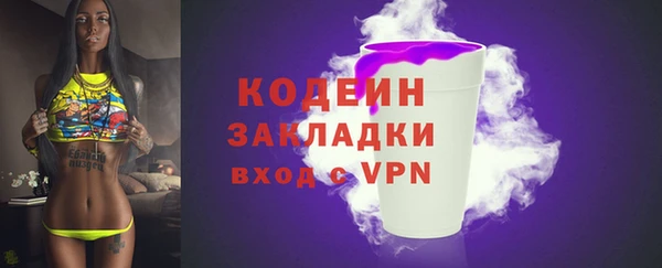 спиды Лагань