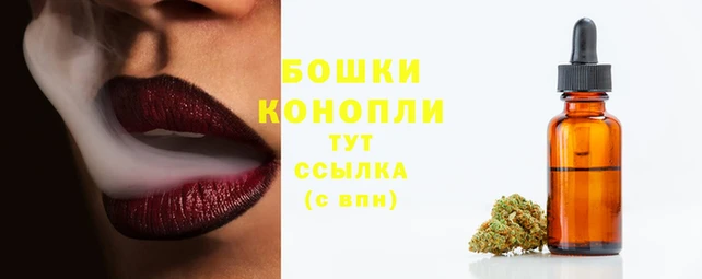 ECSTASY Ладушкин