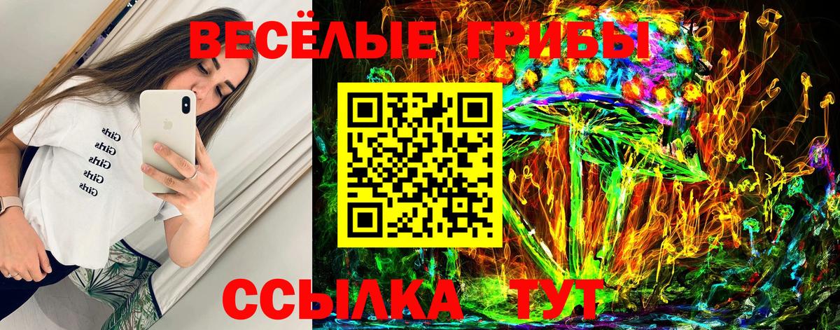 Похвистнево  где купить   Вход с VPN  Галлюциногенные грибы прущие грибы 